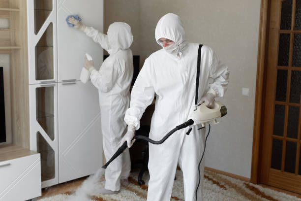 Best Fast Mold Removal  in Wayne City, IL